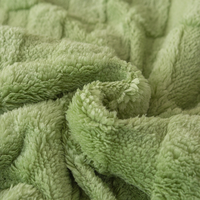 91家纺网 家纺一手货源 找家纺 佳居缘 【双面绒-方格】 2025加厚保暖羊羔绒毛毯双层塔芙绒毯子跨境专供外贸出口定制 方格-绿