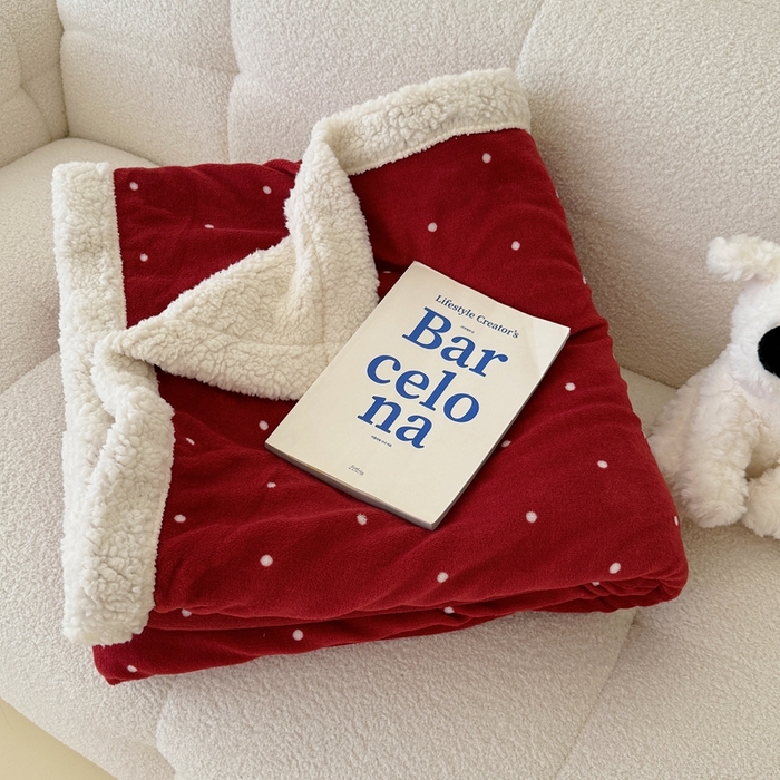 91家纺网 家纺一手货源 找家纺 顾里家纺 2025新款Chic韩系少女牛奶羊羔绒毯毛毯毯子-波点系 组合图 仅供参考不可下单