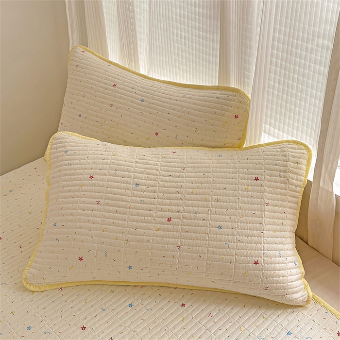 91家纺网 家纺一手货源 找家纺 小叮当家纺仓储工厂店 买家秀 爆款花型2025新款床盖豆豆被套春秋被套冬被云感超软木棉被子被芯 豆豆被-彩星甜梦