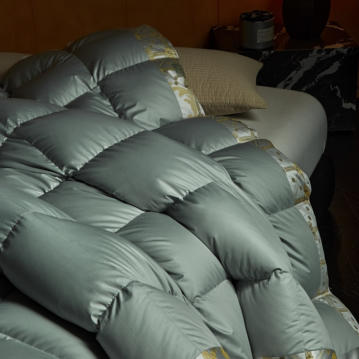 91家纺网 家纺一手货源 找家纺 暖羽屋羽绒馆 2025新款罗玛莱赛尔 鹅绒丝被芯 白鹅绒被子 羽毛被 冬被双人加厚春秋被2米 罗玛 蓝