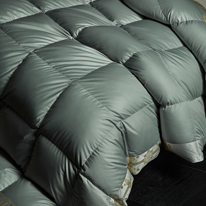 91家纺网 家纺一手货源 找家纺 暖羽屋羽绒馆 2025新款罗玛莱赛尔 鹅绒丝被芯 白鹅绒被子 羽毛被 冬被双人加厚春秋被2米 罗玛 蓝