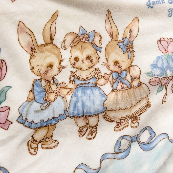 91家纺网 家纺一手货源 找家纺 小叮当家纺仓储工厂店 买家秀 爆款花型2025新款牛奶绒洛丽塔小清新印花系列毛毯毯子 萝莉小兔