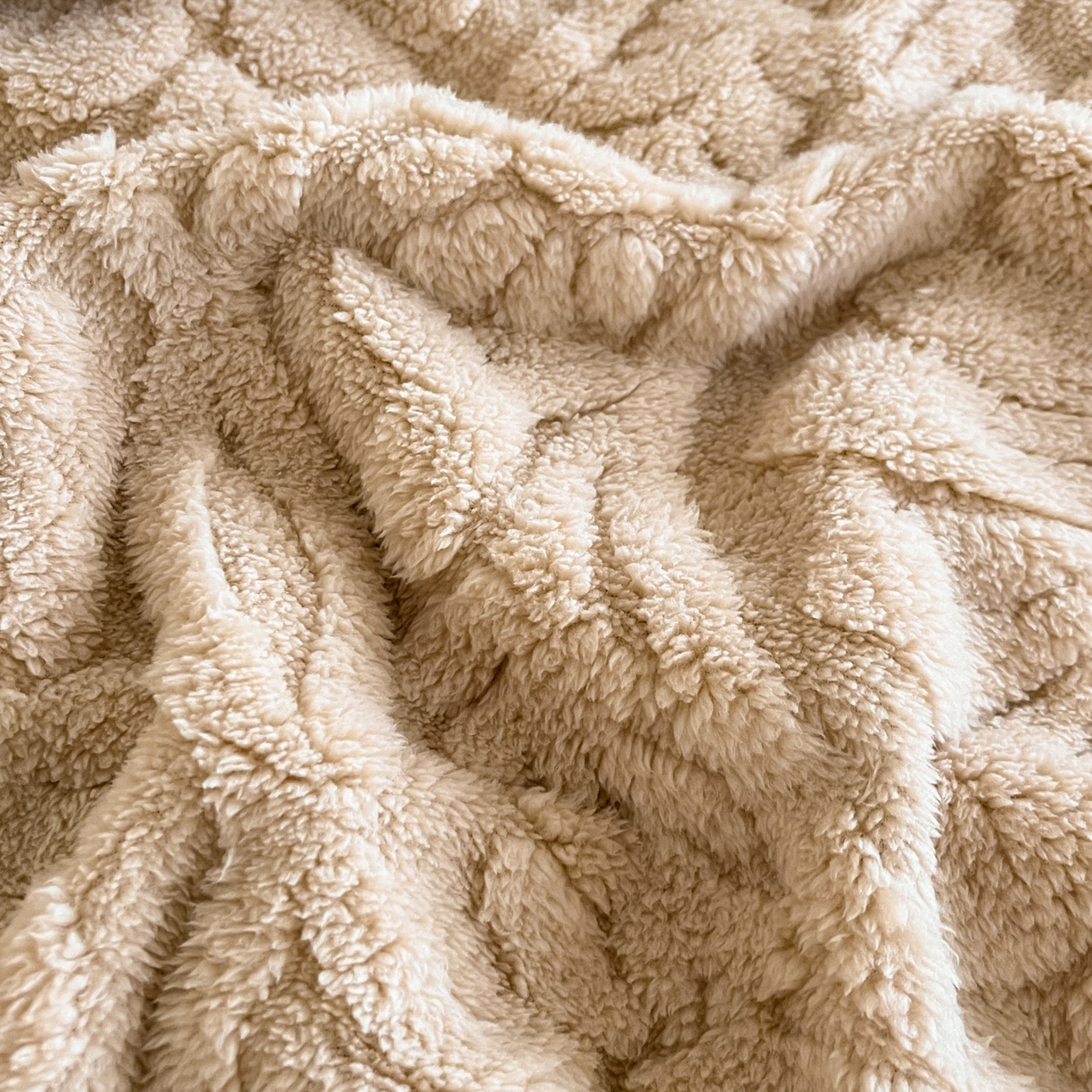 91家纺网 家纺一手货源 找家纺 （总）莱家富 2025新款塔芙绒舒棉绒单层毯-繁花系列（可供跨境外贸抽空压缩爆款首选）