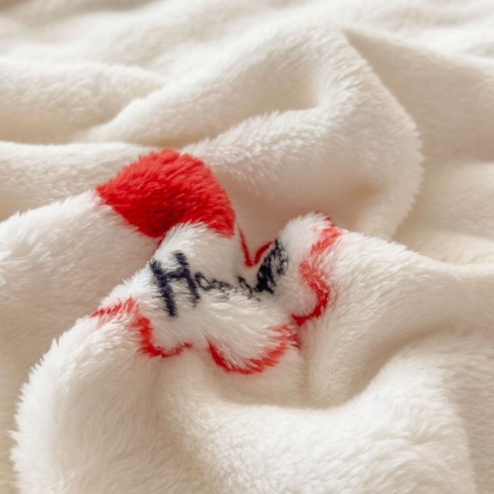 91家纺网 家纺一手货源 找家纺 （总）爱彼家纺 2025秋冬新款泡泡绒印花毛毯毯子多功能盖毯-系列二