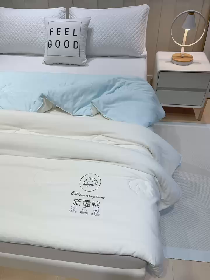 91家纺网 家纺一手货源 找家纺 蝶蔻家纺 2025新款亲肤软糯新疆棉花保暖被被子被芯-本白 本白-蓝