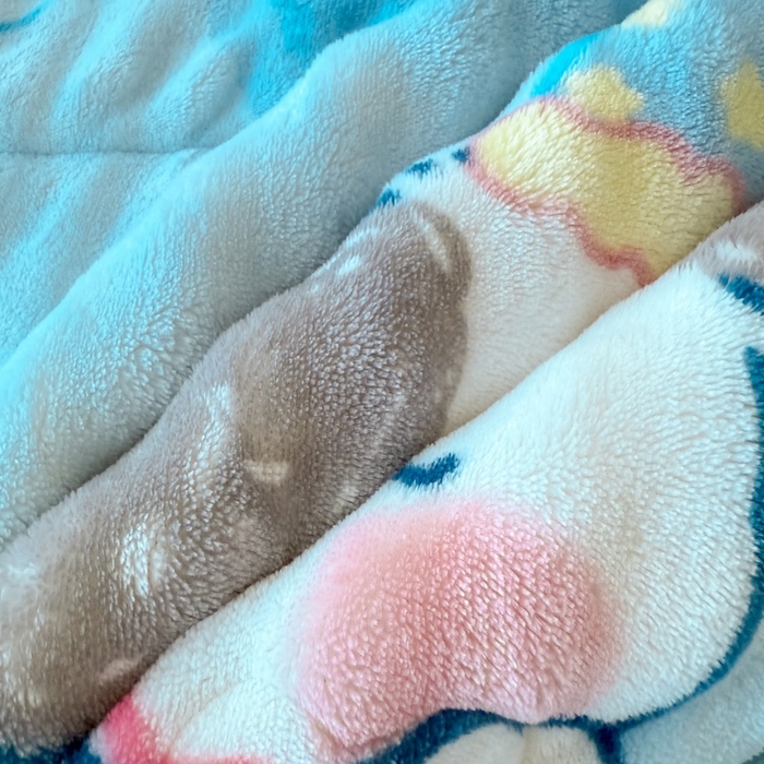 91家纺网 家纺一手货源 找家纺 宜梦家居 2025新款獭兔绒三层夹棉加厚豆豆棉被子被芯 蓝狗