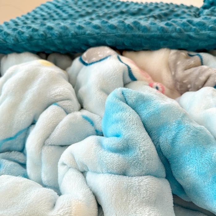 91家纺网 家纺一手货源 找家纺 宜梦家居 2025新款獭兔绒三层夹棉加厚豆豆棉被子被芯 蓝狗