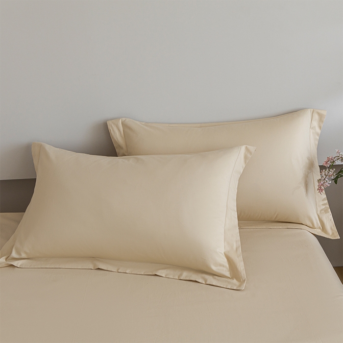 91家纺网 家纺一手货源 找家纺 618家纺 2025新款全棉100支磨毛单品四件套系列-四件套 雪咖