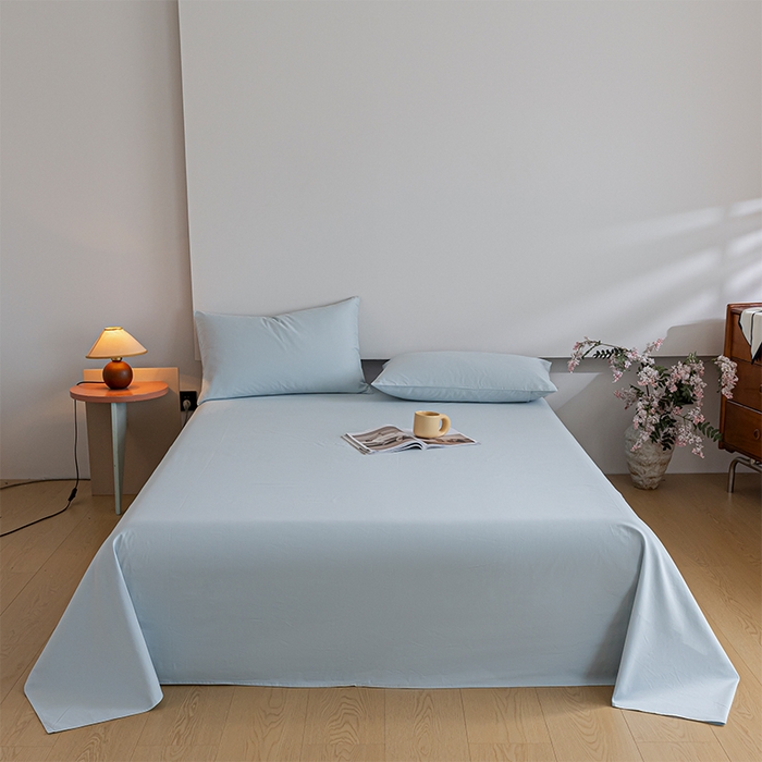 91家纺网 家纺一手货源 找家纺 （总）618家纺 2025新款全棉100支磨毛单品四件套系列-单床单