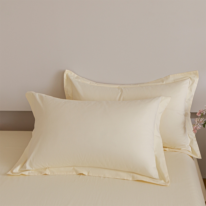 91家纺网 家纺一手货源 找家纺 （总）618家纺 2025新款全棉100支磨毛单品四件套系列-单枕套