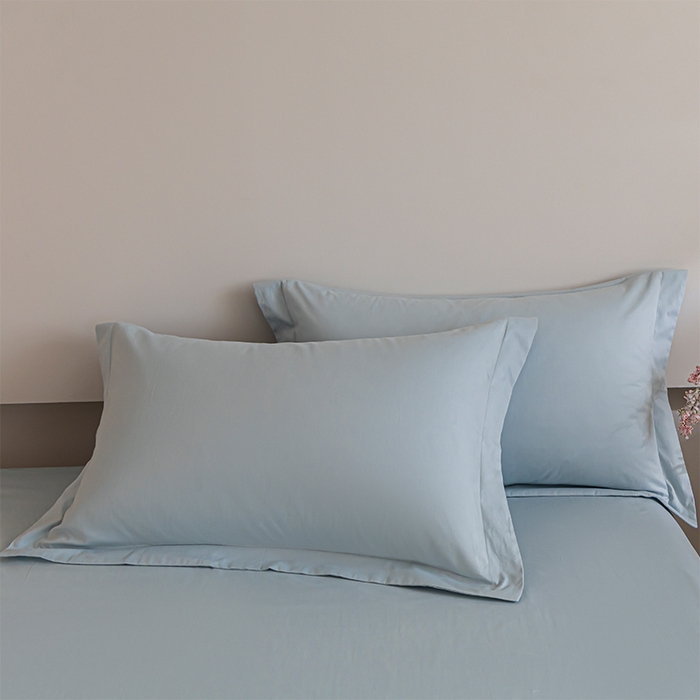 618家纺 2025新款全棉100支磨毛单品四件套系列-单枕套 冰蓝