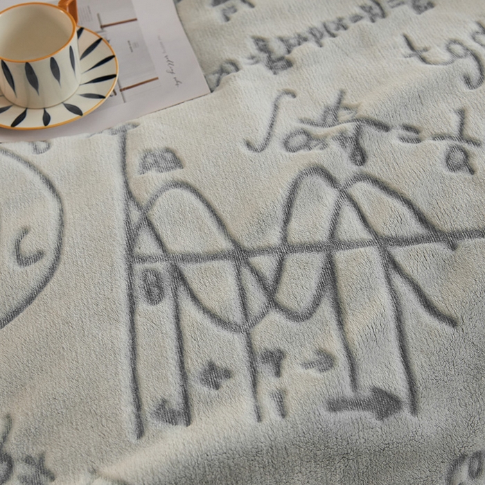 91家纺网 家纺一手货源 找家纺 早晨家纺 2025新款北影款-印花单层毛毯 北影方程-灰