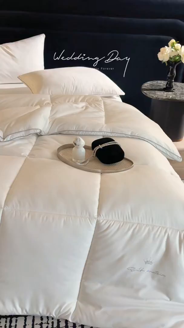 91家纺网 家纺一手货源 找家纺 头等舱 2025新款酒店款净植力抗菌 防螨 防霉 低致敏 立体秋冬被（空镜图） 珍珠白