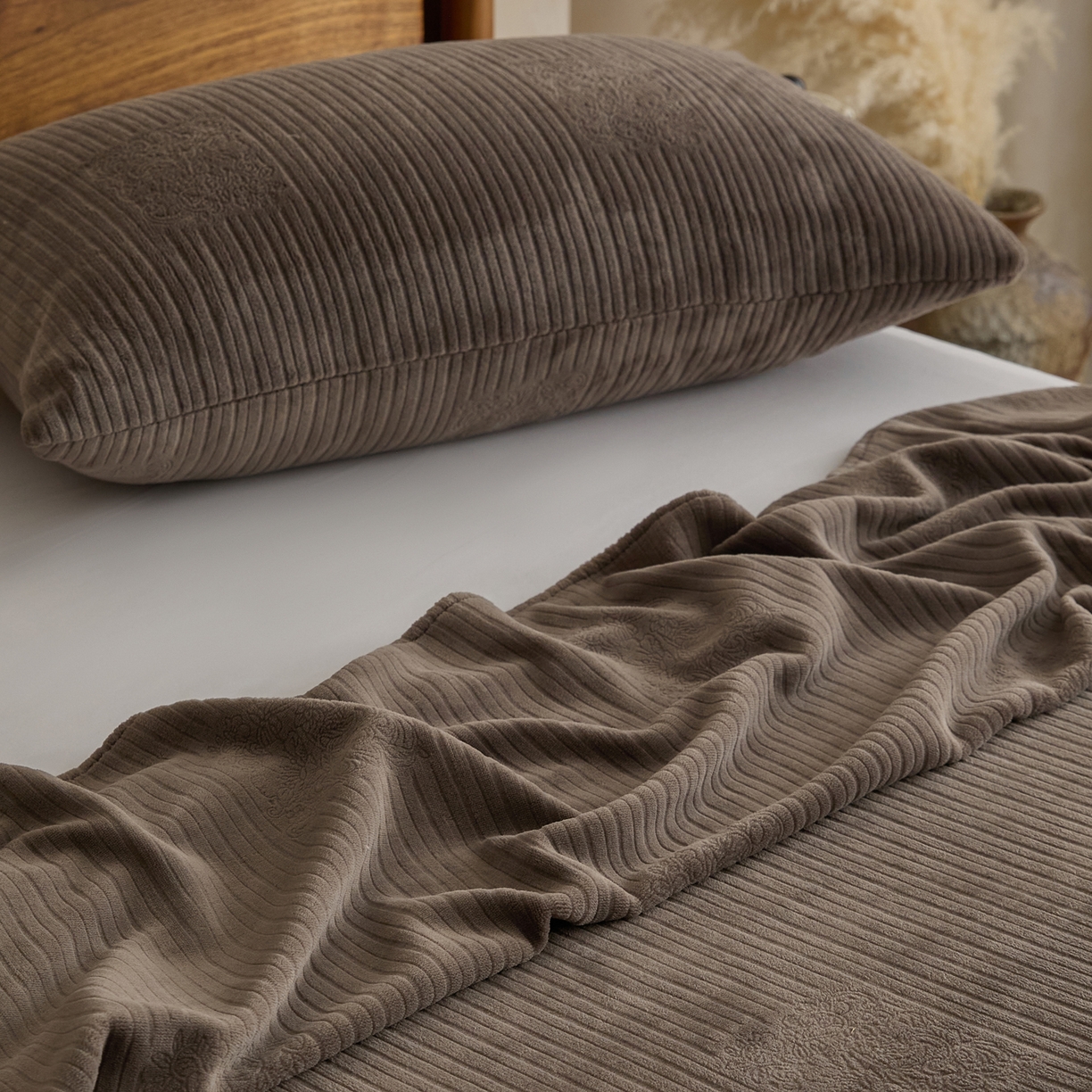 91家纺网 家纺一手货源 找家纺 早晨家纺 2025新款红金龙纯色烂花牛奶绒床单 米澜-奶咖