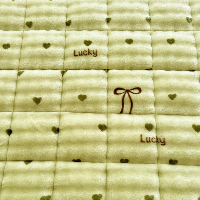 91家纺网 家纺一手货源 找家纺 梵朴 2025新款牛奶绒泡泡兔毛绒床垫学生宿舍床褥子床护垫大床款印花系列 爱心蝴蝶结绿