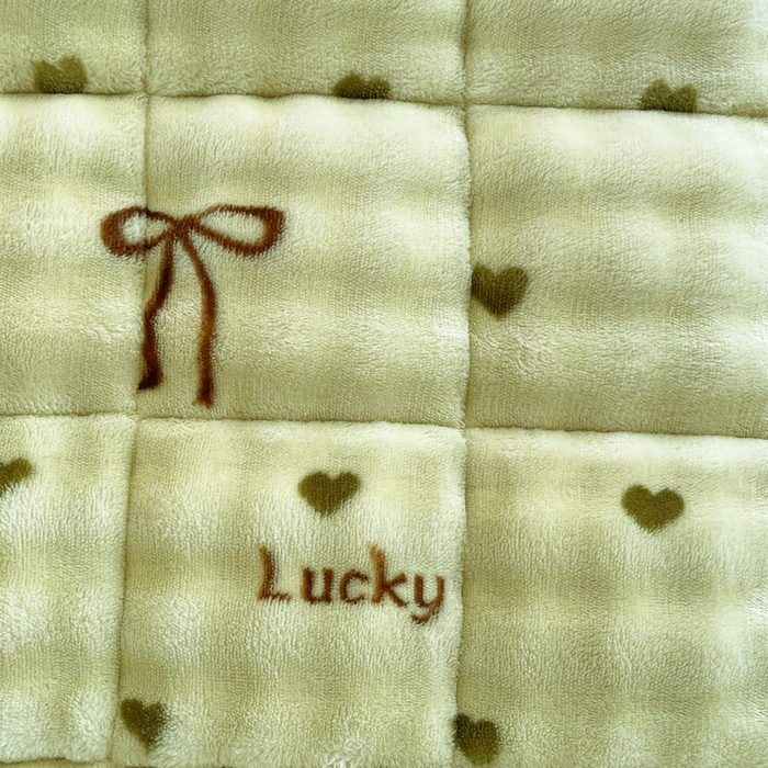 91家纺网 家纺一手货源 找家纺 梵朴 2025新款牛奶绒泡泡兔毛绒床垫学生宿舍床褥子床护垫学生款印花系列 爱心蝴蝶结绿