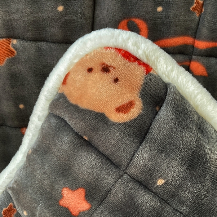 91家纺网 家纺一手货源 找家纺 梵朴 2025新款牛奶绒泡泡兔毛绒床垫学生宿舍床褥子床护垫学生款印花系列 星星小熊灰