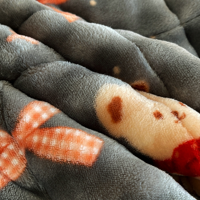 91家纺网 家纺一手货源 找家纺 梵朴 2025新款牛奶绒泡泡兔毛绒床垫学生宿舍床褥子床护垫学生款印花系列 星星小熊灰