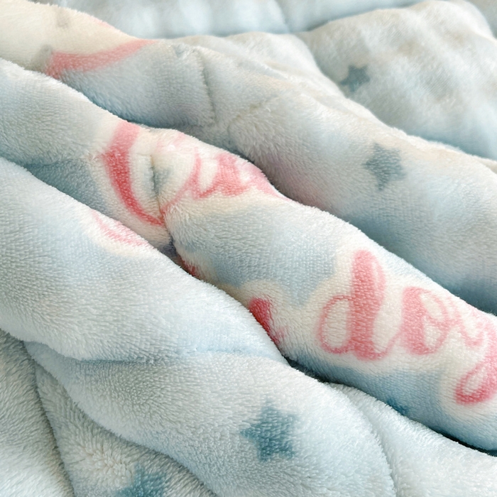 91家纺网 家纺一手货源 找家纺 梵朴 2025新款牛奶绒泡泡兔毛绒床垫学生宿舍床褥子床护垫学生款印花系列 音乐狗蓝