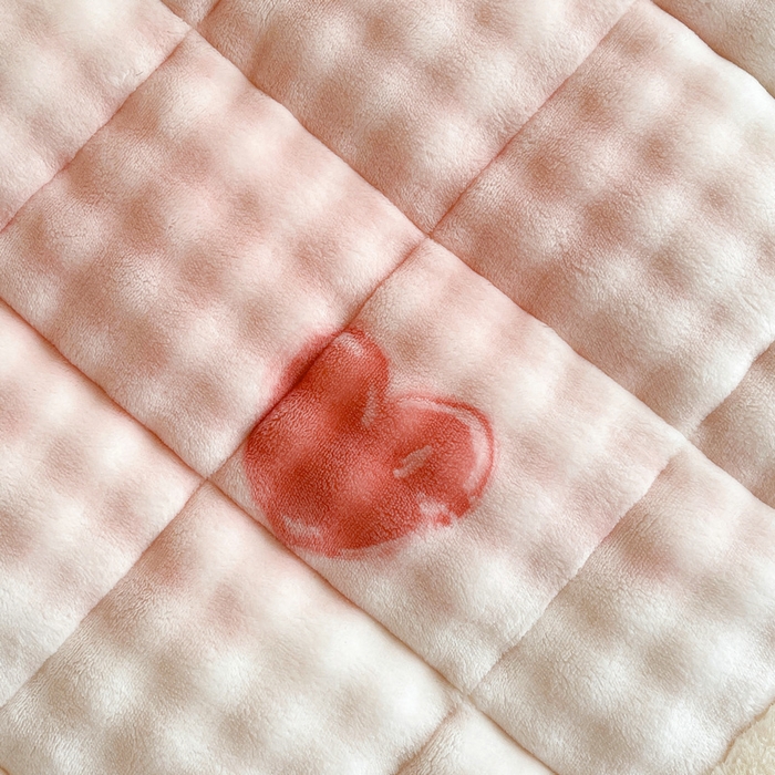 91家纺网 家纺一手货源 找家纺 梵朴 2025新款牛奶绒泡泡兔毛绒床垫学生宿舍床褥子床护垫学生款印花系列 云纹爱心粉