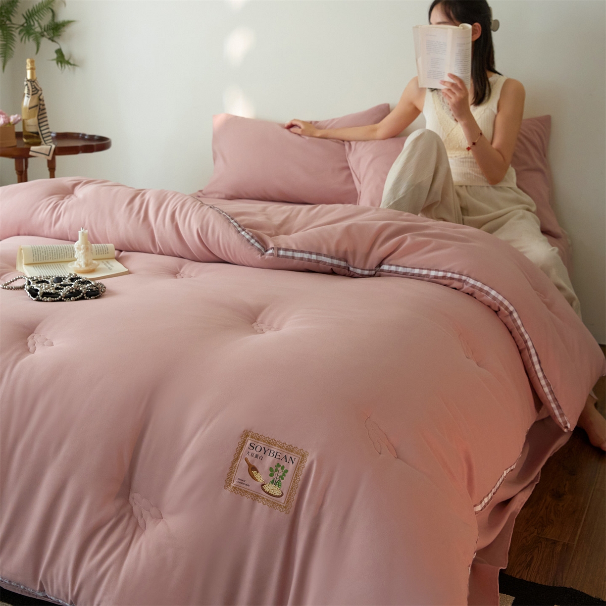 91家纺网 家纺一手货源 找家纺 （总）头等舱  2025新款四季棉纯色A类20大豆7A抗菌秋冬被（模特图）