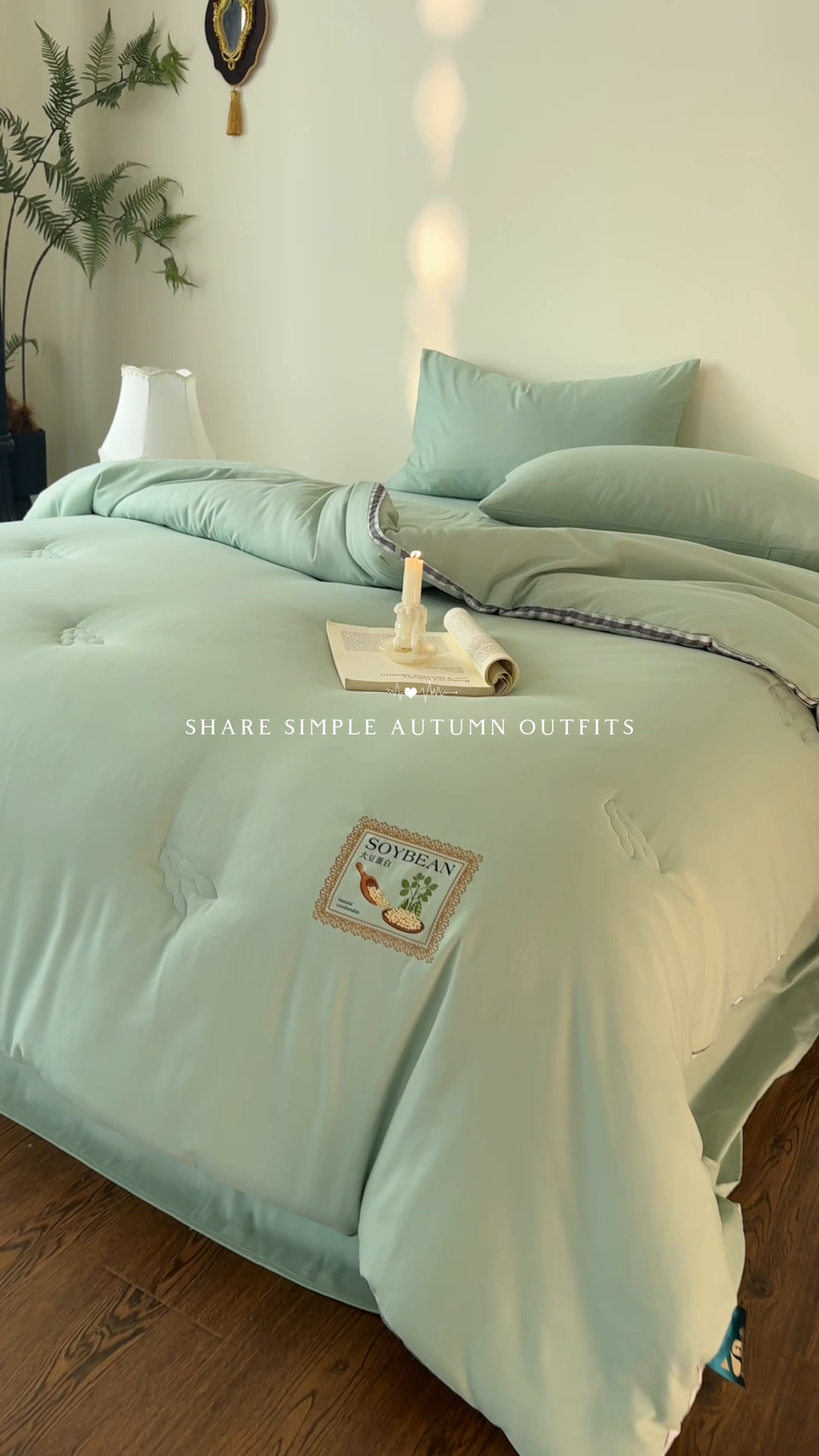 91家纺网 家纺一手货源 找家纺 （总）头等舱  2025新款四季棉纯色A类20大豆7A抗菌秋冬被（空镜）