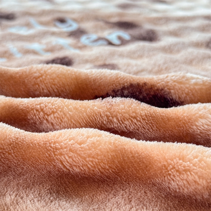 91家纺网 家纺一手货源 找家纺 爱多多家居 2025新款兔兔泡泡牛奶绒床裙单品床裙床裙单件三件套 床裙-豹纹猫