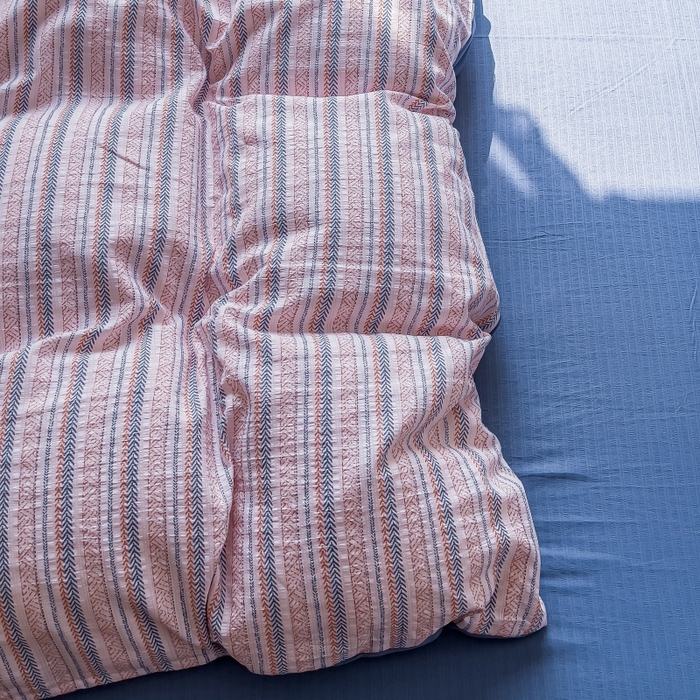 91家纺网 家纺一手货源 找家纺 王朝国际 2026新款直播电商热款彩竺棉四件套 洛川蓝