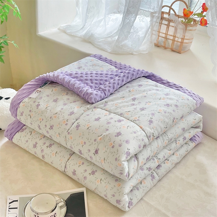 91家纺网 家纺一手货源 找家纺 （总）芙绣2025新款A类全棉印花豆豆绒被空调被豆豆毯学生单品居家办公室