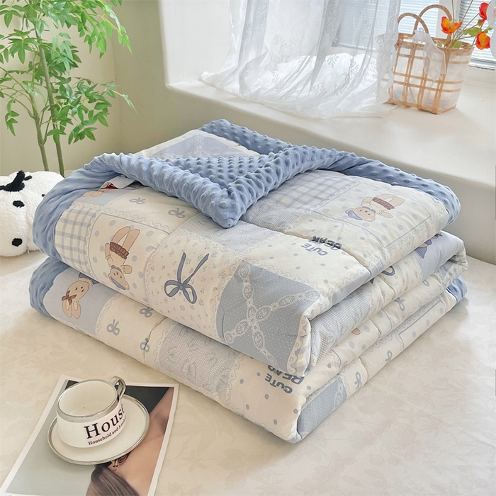 91家纺网 家纺一手货源 找家纺 （总）芙绣2025新款A类全棉印花豆豆绒被空调被豆豆毯学生单品居家办公室