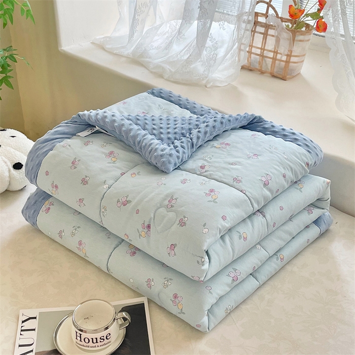 91家纺网 家纺一手货源 找家纺 （总）芙绣2025新款A类全棉印花豆豆绒被空调被豆豆毯学生单品居家办公室