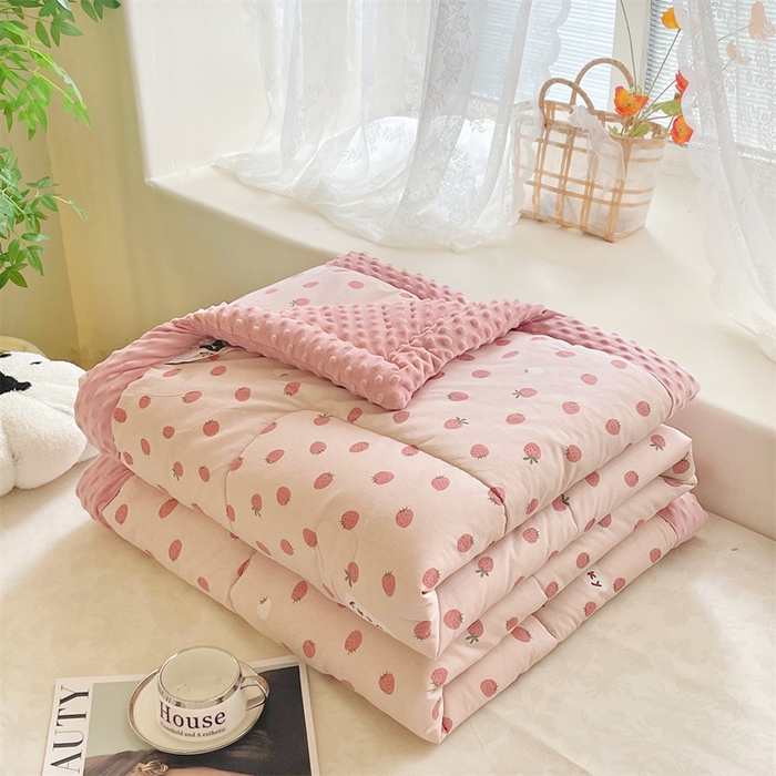 91家纺网 家纺一手货源 找家纺 （总）芙绣2025新款A类全棉印花豆豆绒被空调被豆豆毯学生单品居家办公室