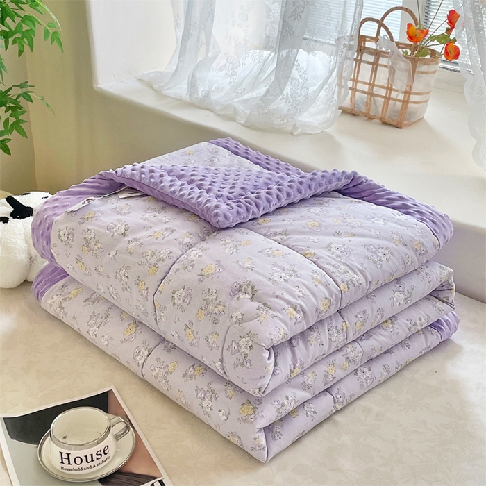 91家纺网 家纺一手货源 找家纺 （总）芙绣2025新款A类全棉印花豆豆绒被空调被豆豆毯学生单品居家办公室