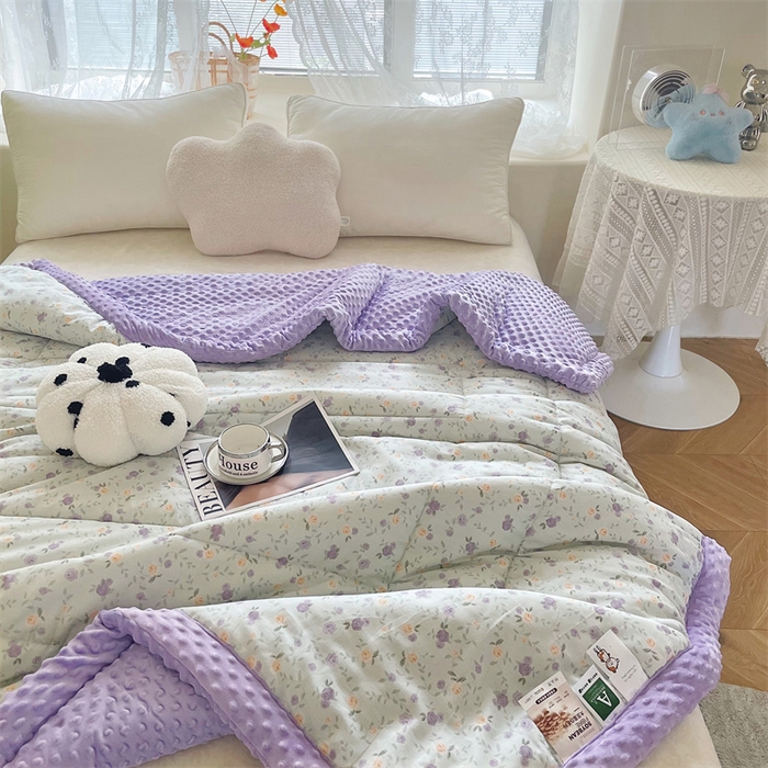 91家纺网 家纺一手货源 找家纺 （总）芙绣2025新款A类全棉印花豆豆绒被空调被豆豆毯学生单品居家办公室