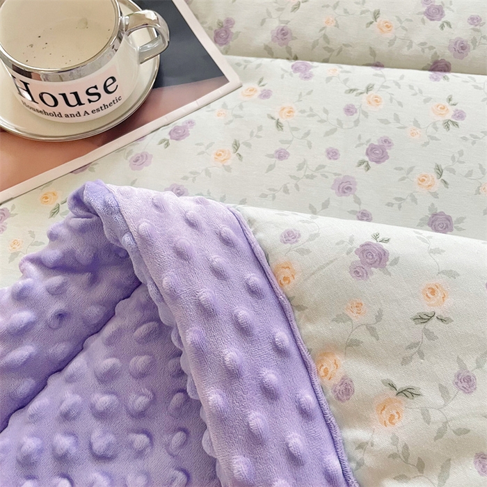 91家纺网 家纺一手货源 找家纺 （总）芙绣2025新款A类全棉印花豆豆绒被空调被豆豆毯学生单品居家办公室