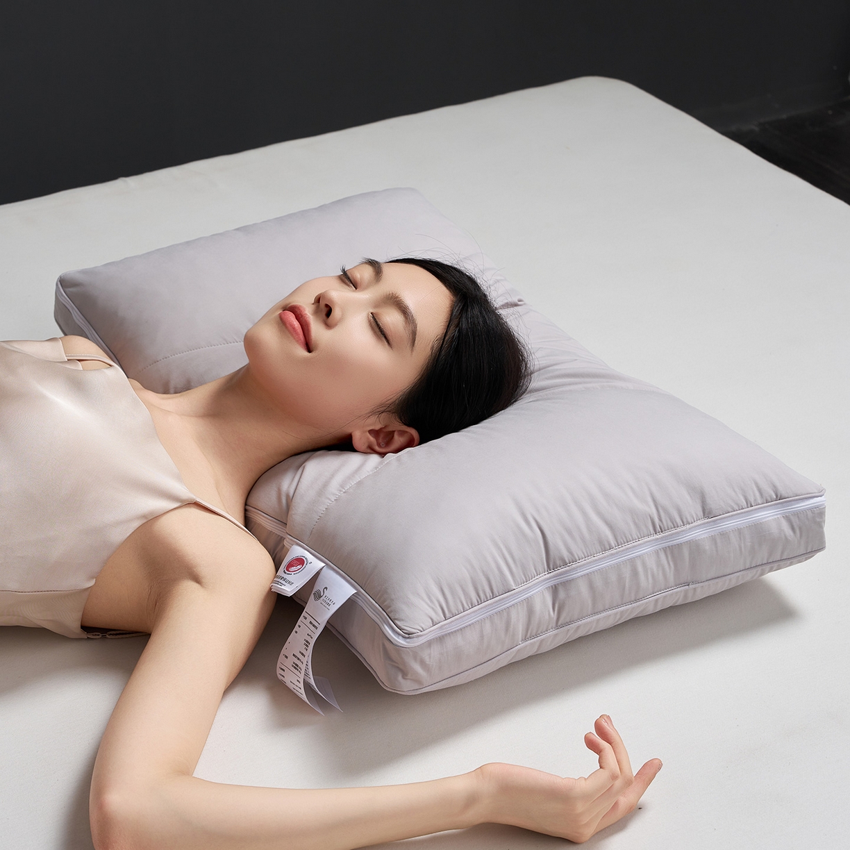 91家纺网 家纺一手货源 找家纺 （总）乐可 2025新款慢回弹鹅绒调节枕记忆棉枕头枕芯