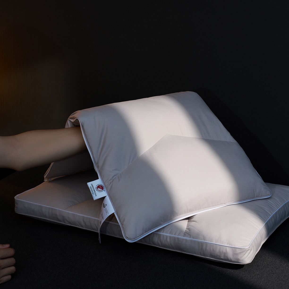 91家纺网 家纺一手货源 找家纺 （总）乐可 2025新款慢回弹鹅绒调节枕记忆棉枕头枕芯