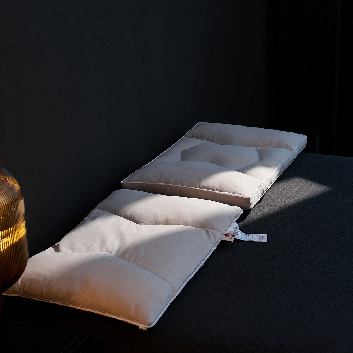 91家纺网 家纺一手货源 找家纺 （总）乐可 2025新款慢回弹鹅绒调节枕记忆棉枕头枕芯