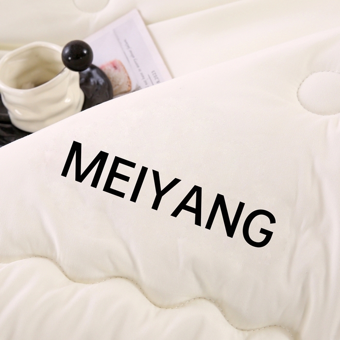 91家纺网 家纺一手货源 找家纺 简冠家纺 2025新款磨毛羽丝绒被被子被芯冬被春秋被 白+玉