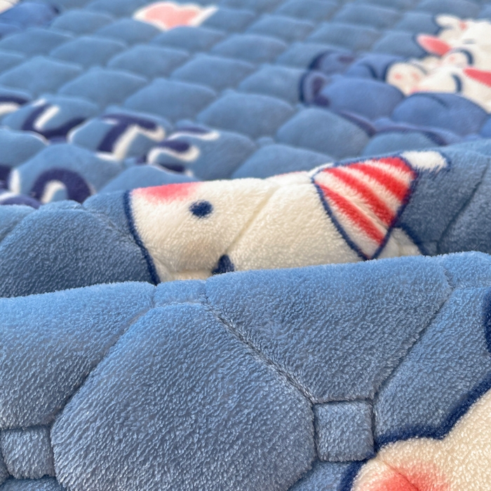 91家纺网 家纺一手货源 找家纺 （总）梵朴 2025新款牛奶绒夹棉床垫床褥加厚珊瑚绒床护垫-印花系列（大床图）