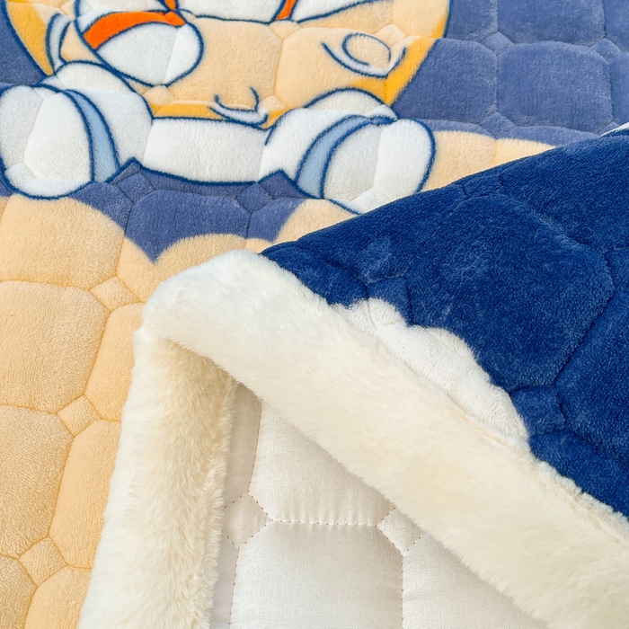 91家纺网 家纺一手货源 找家纺 梵朴 2025新款牛奶绒夹棉床垫床褥加厚珊瑚绒床护垫-印花系列（大床图） 宇宙太空人