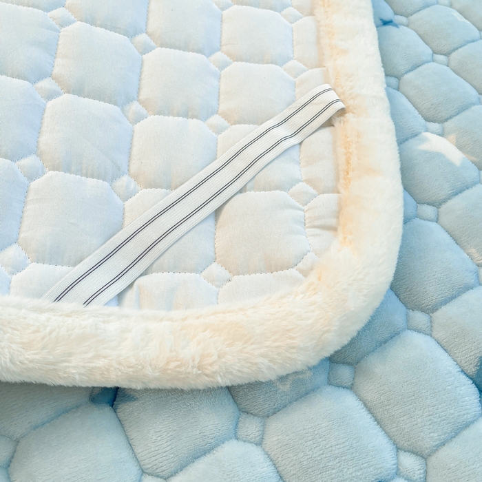 91家纺网 家纺一手货源 找家纺 梵朴 2025新款牛奶绒夹棉床垫床褥加厚珊瑚绒床护垫-印花系列（大床图） 星星萌狗