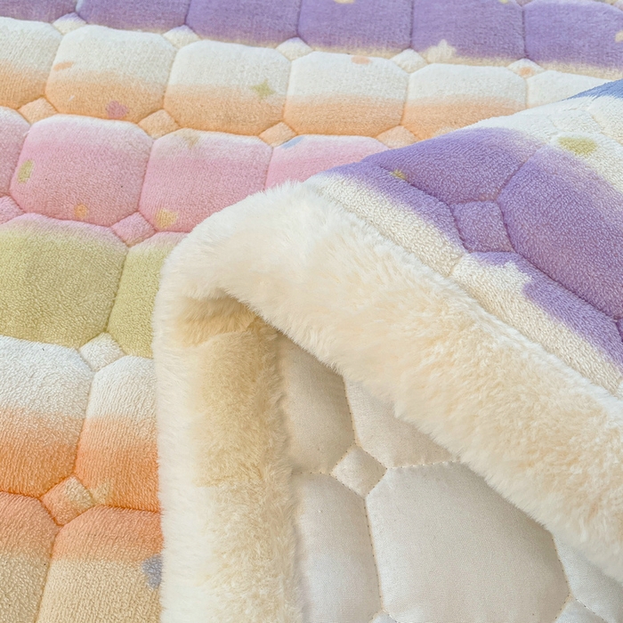 91家纺网 家纺一手货源 找家纺 梵朴 2025新款牛奶绒夹棉床垫床褥加厚珊瑚绒床护垫-印花系列（大床图） 缤纷彩虹