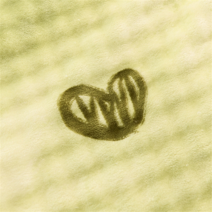 91家纺网 家纺一手货源 找家纺 恋绒家纺 2025新款舒棉绒毛毯三层夹棉牛奶绒印花毛毯卡通秋冬午睡毯多功能盖毯可机洗毯子 云纹鸡心绿