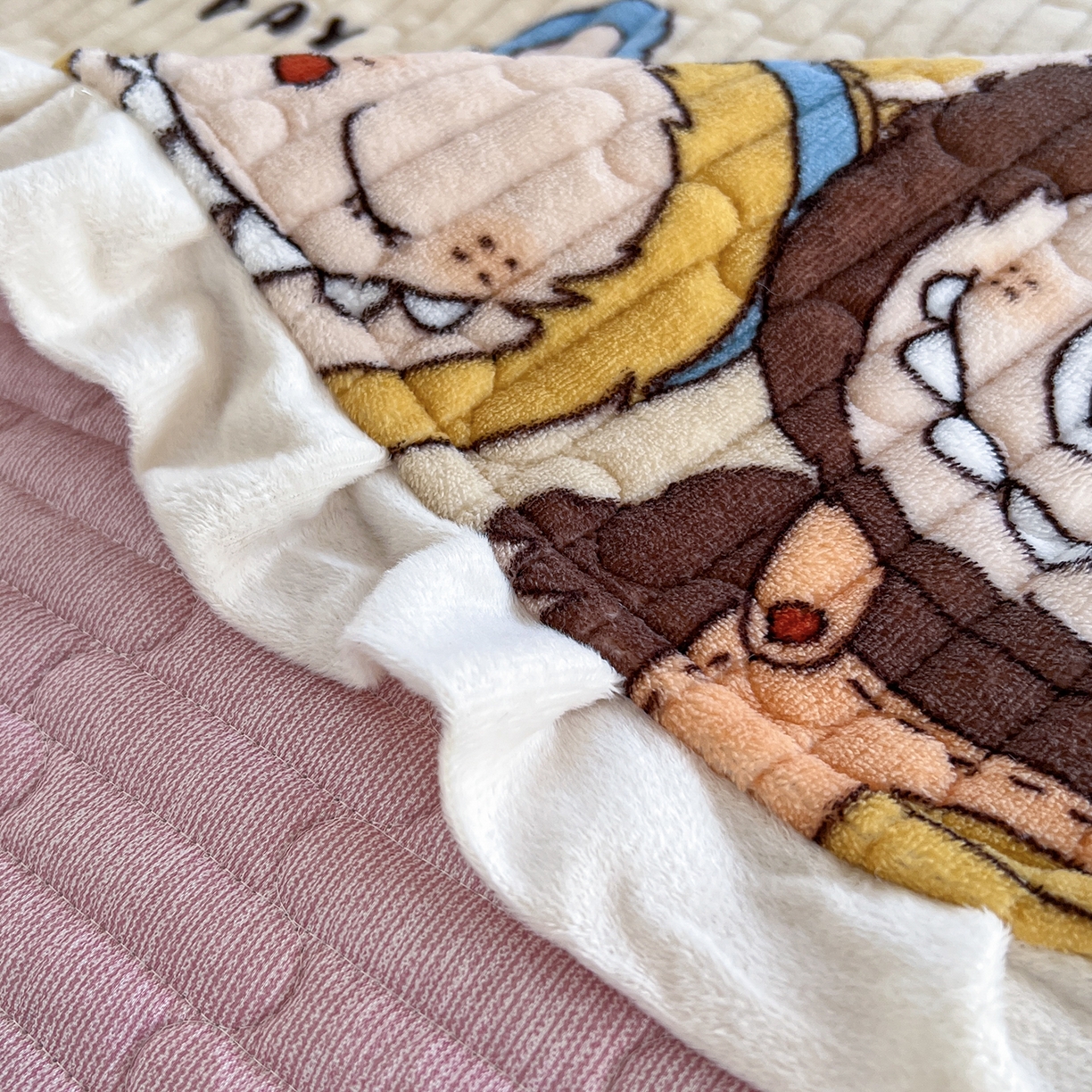 91家纺网 家纺一手货源 找家纺 梵克保罗 2025新款A类牛奶绒夹棉花边韩版印花床盖三件套加厚保暖多功能单床盖 拉布布