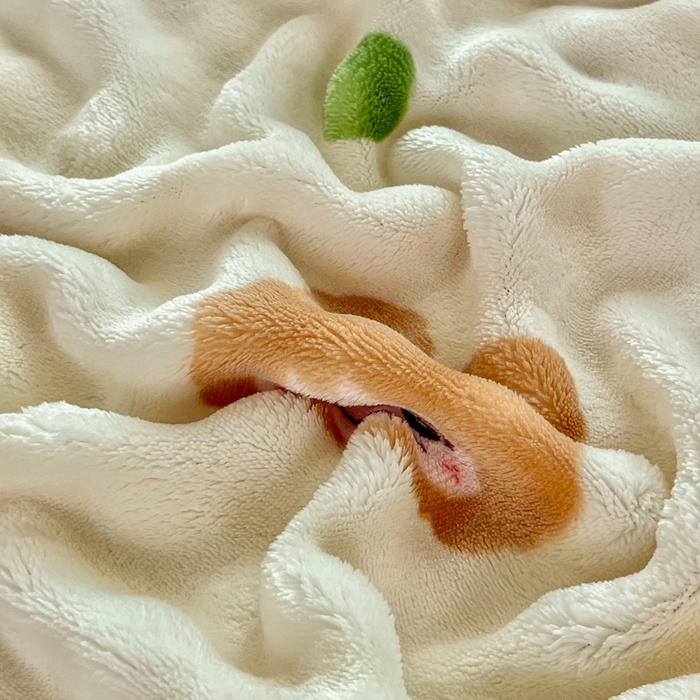 91家纺网 家纺一手货源 找家纺 润肤居 2025新款保暖舒适亲肤牛奶绒泡泡四件套 彩点拉布布