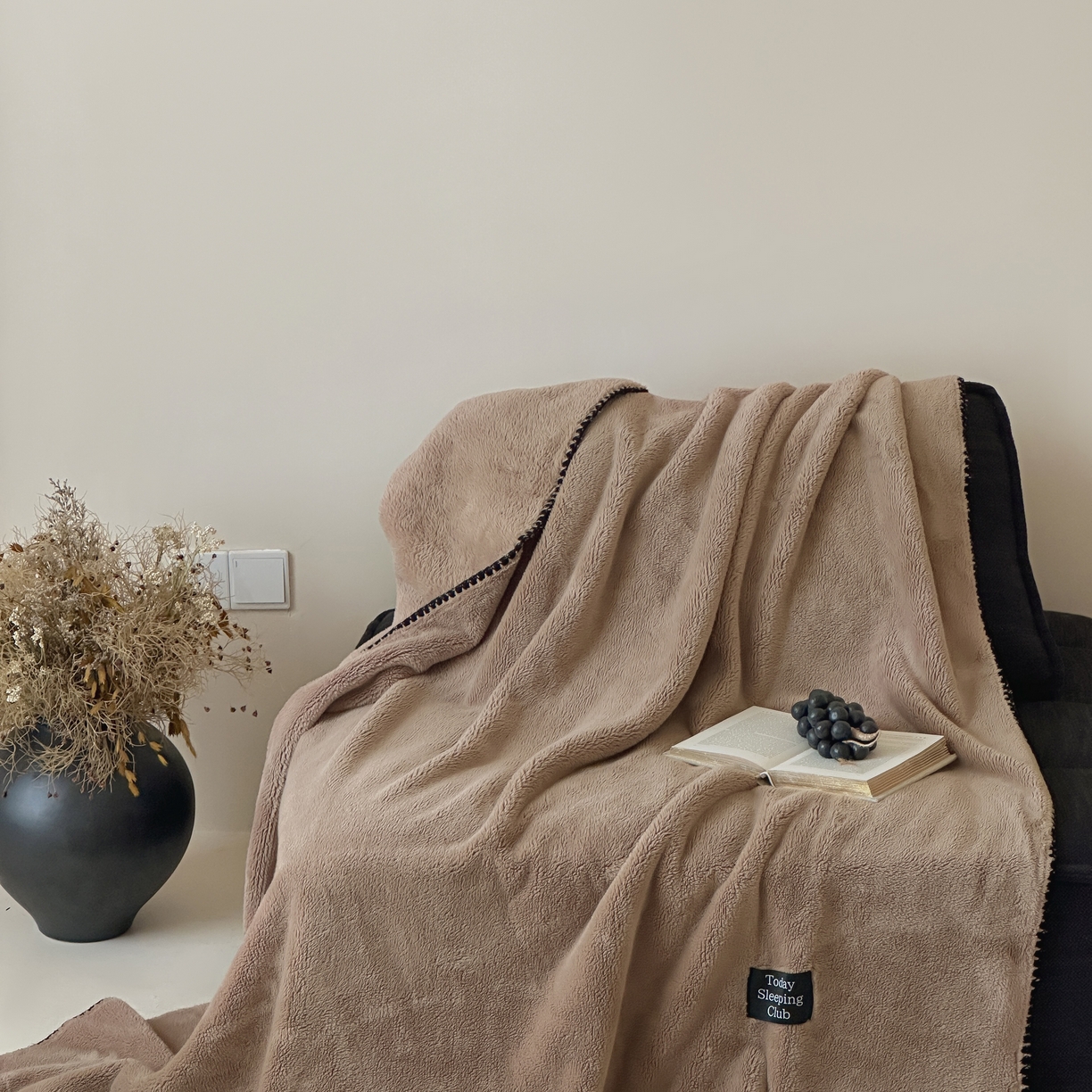 三味舒屋 2025新款多用纯色双面牛奶绒毛毯 米咖
