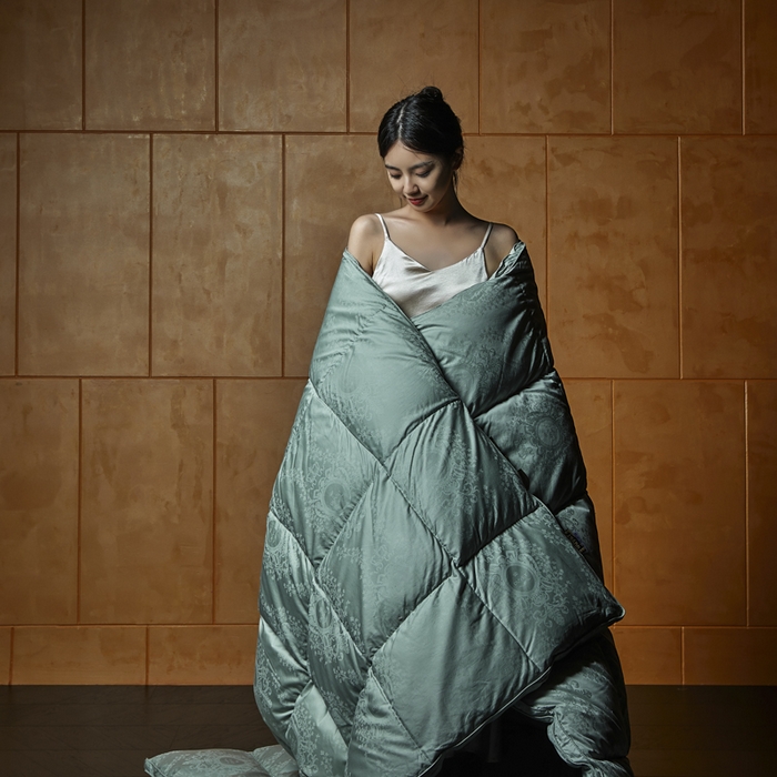 91家纺网 家纺一手货源 找家纺 暖羽屋羽绒馆 2025新款鹅绒丝被芯 盛世典雅羽绒被子 双人羽毛被 2米婚庆春秋被芯 盛世典雅 蓝