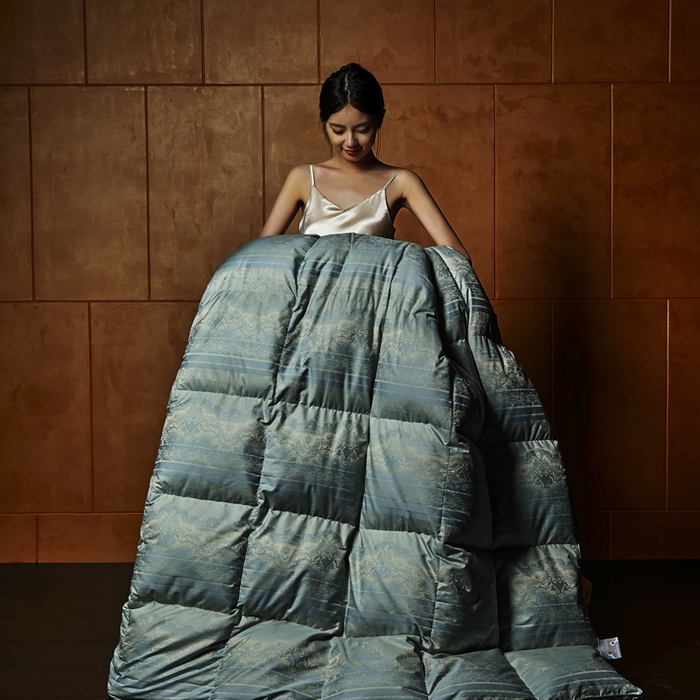 暖羽屋羽绒馆 2025新款鹅绒丝被芯 时空春秋被冬被 羽毛被子 羽绒被2米双人加厚秋冬被 时空 蓝
