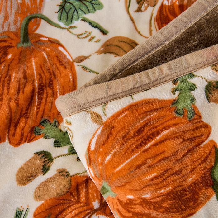 91家纺网 家纺一手货源 找家纺 （总）小鱼儿家纺 2025新款直播爆款AB版石墨烯南瓜被冬被加厚保暖单人双人被子被芯批发一件代发